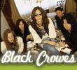 black crowes