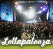 lollapalooza