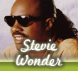 stevie wonder
