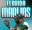 florida marlins