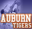 auburn tigers basketball