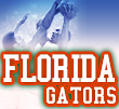 florida gators basketball