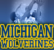 michigan wolverines basketball
