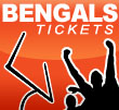 cincinnati bengals