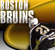 boston bruins