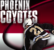 phoenix coyotes