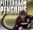 pittsburgh penguins