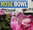 rose bowl football