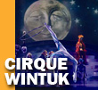 cirque du soleil wintuk
