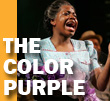 the color purple
