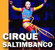 cirque du soleil saltimbanco