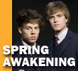 spring awakening