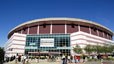 Atlanta Falcons