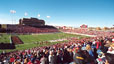 New Mexico Lobos Football