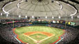 Tampa Bay Rays