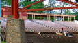 Harvey's Outdoor Arena