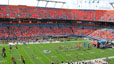 Miami Dolphins