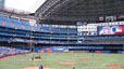 Toronto Blue Jays Baseball
