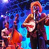 The Avett Brothers