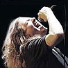 Classic Albums Live