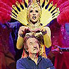 Priscilla Queen of the Desert  