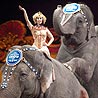 Ringling Bros B&B Circus  