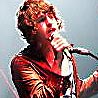 The Kooks