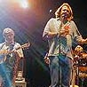 Widespread Panic