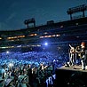 LP Field