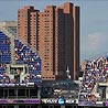 M&T Bank Stadium