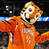 Clemson Tigers Mens Basketball