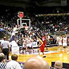 Evansville Purple Aces Mens Basketball