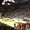 Florida State Seminoles Mens Basketball