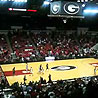 Georgia Bulldogs Mens Basketball